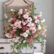 ヒメ日記 2026/01/21 08:41 投稿 もも 愛知弥富ちゃんこ