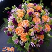 ヒメ日記 2026/02/04 07:51 投稿 もも 愛知弥富ちゃんこ