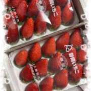 ヒメ日記 2026/02/04 10:41 投稿 もも 愛知弥富ちゃんこ