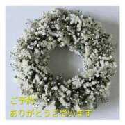 ヒメ日記 2026/03/05 08:51 投稿 もも 愛知弥富ちゃんこ