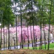 ヒメ日記 2026/03/05 10:01 投稿 もも 愛知弥富ちゃんこ