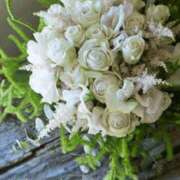 ヒメ日記 2026/03/06 18:31 投稿 もも 愛知弥富ちゃんこ