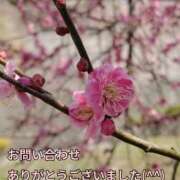 ヒメ日記 2026/03/07 16:21 投稿 もも 愛知弥富ちゃんこ