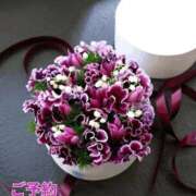 ヒメ日記 2026/03/12 15:41 投稿 もも 愛知弥富ちゃんこ