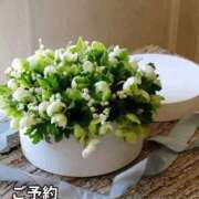 ヒメ日記 2026/03/26 11:51 投稿 もも 愛知弥富ちゃんこ