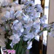 ヒメ日記 2026/03/31 09:51 投稿 もも 愛知弥富ちゃんこ