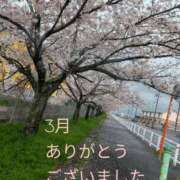 ヒメ日記 2026/04/06 10:01 投稿 もも 愛知弥富ちゃんこ
