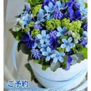 ヒメ日記 2026/04/16 10:26 投稿 もも 愛知弥富ちゃんこ