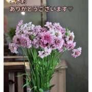 ヒメ日記 2026/04/28 09:11 投稿 もも 愛知弥富ちゃんこ