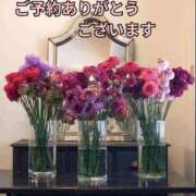 ヒメ日記 2026/05/24 19:51 投稿 もも 愛知弥富ちゃんこ