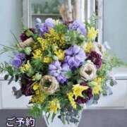 ヒメ日記 2026/08/24 07:41 投稿 もも 愛知弥富ちゃんこ