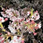 ヒメ日記 2026/04/22 22:18 投稿 りん チアガール