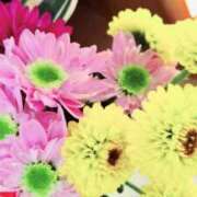 ヒメ日記 2024/12/17 15:27 投稿 りょうこ 人妻美人館