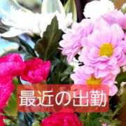 ヒメ日記 2025/06/17 12:44 投稿 りょうこ 人妻美人館