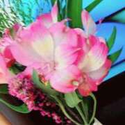 ヒメ日記 2025/07/04 10:13 投稿 りょうこ 人妻美人館