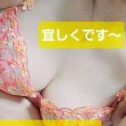 ヒメ日記 2025/07/09 09:10 投稿 りょうこ 人妻美人館