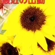 ヒメ日記 2025/08/07 09:58 投稿 りょうこ 人妻美人館