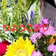 ヒメ日記 2025/11/07 03:09 投稿 りょうこ 人妻美人館