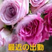 ヒメ日記 2026/01/02 09:55 投稿 りょうこ 人妻美人館