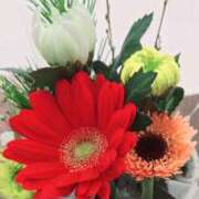 ヒメ日記 2026/01/30 13:58 投稿 りょうこ 人妻美人館