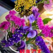 ヒメ日記 2026/03/05 11:44 投稿 りょうこ 人妻美人館