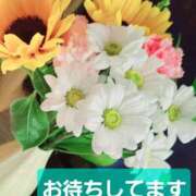 ヒメ日記 2026/03/20 07:45 投稿 りょうこ 人妻美人館