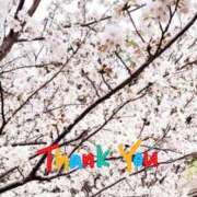 ヒメ日記 2026/03/27 12:25 投稿 りょうこ 人妻美人館