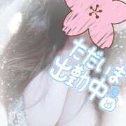 ヒメ日記 2025/02/17 11:36 投稿 笹森ななみ HANABI(福富町)