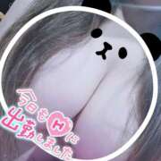 ヒメ日記 2025/03/23 06:00 投稿 笹森ななみ HANABI(福富町)