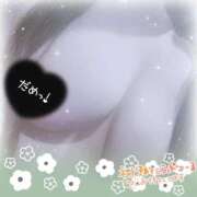 ヒメ日記 2025/04/17 07:00 投稿 笹森ななみ HANABI(福富町)