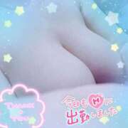 ヒメ日記 2025/04/27 07:31 投稿 笹森ななみ HANABI(福富町)