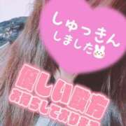 ヒメ日記 2025/06/16 06:59 投稿 笹森ななみ HANABI(福富町)