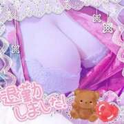 ヒメ日記 2025/08/29 14:00 投稿 笹森ななみ HANABI(福富町)