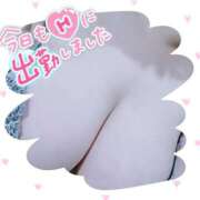 ヒメ日記 2025/11/09 08:56 投稿 笹森ななみ HANABI(福富町)