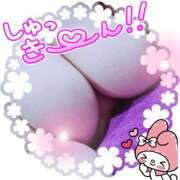 ヒメ日記 2025/11/15 06:15 投稿 笹森ななみ HANABI(福富町)