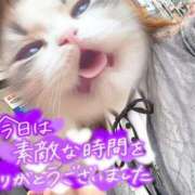 ヒメ日記 2026/06/11 15:31 投稿 笹森ななみ HANABI(福富町)