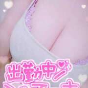 ヒメ日記 2026/06/20 06:15 投稿 笹森ななみ HANABI(福富町)