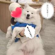 ヒメ日記 2026/08/12 14:39 投稿 笹森ななみ HANABI(福富町)