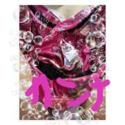 ヒメ日記 2025/06/19 11:44 投稿 一瀬カンナ HANABI(福富町)