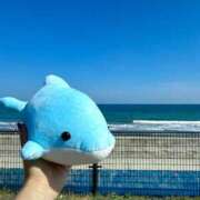 唯/ゆい 大事なお知らせ(*´-`) ANEJE～アネージュ池袋～(ユメオト)