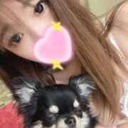 ヒメ日記 2025/03/11 12:03 投稿 かんな パリス雄琴店