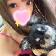 ヒメ日記 2025/03/19 21:03 投稿 かんな パリス雄琴店