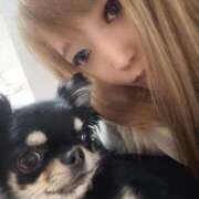 ヒメ日記 2025/12/03 17:19 投稿 かんな パリス雄琴店