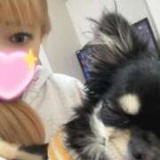 ヒメ日記 2025/12/10 20:42 投稿 かんな パリス雄琴店