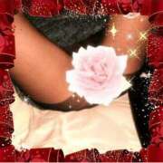 ヒメ日記 2025/10/20 10:50 投稿 美紀 人妻デリバリーパコパコママ一宮店