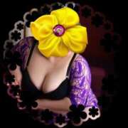 ヒメ日記 2024/12/17 09:21 投稿 有里 人妻デリバリーパコパコママ一宮店