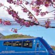 ヒメ日記 2025/03/13 10:51 投稿 有里 人妻デリバリーパコパコママ一宮店