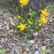 ヒメ日記 2025/03/18 13:01 投稿 有里 人妻デリバリーパコパコママ一宮店