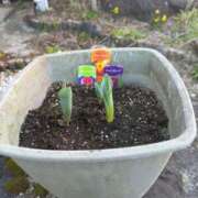 ヒメ日記 2025/03/19 13:29 投稿 有里 人妻デリバリーパコパコママ一宮店