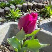 ヒメ日記 2025/04/08 13:41 投稿 有里 人妻デリバリーパコパコママ一宮店